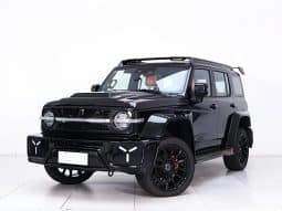 GWM TANK 300 2L 2024