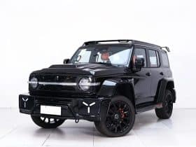 GWM TANK 300 2L 2024