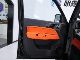 
										GWM TANK 300 2L 2024 full									