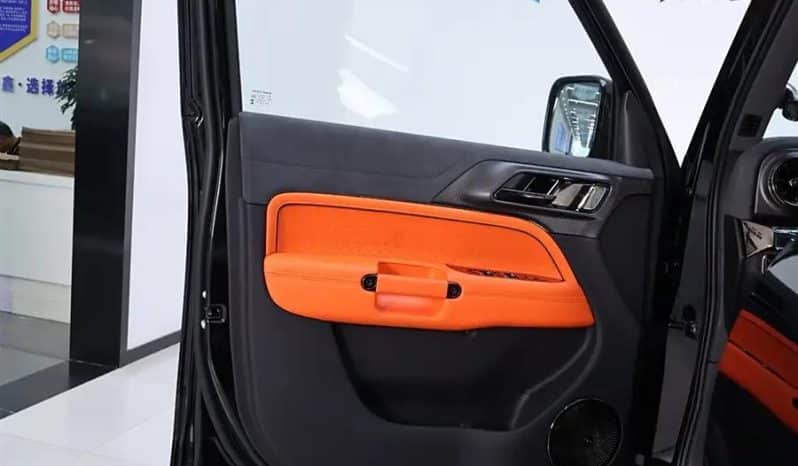 
								GWM TANK 300 2L 2024 full									