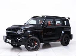 
										GWM TANK 300 2L 2024 full									