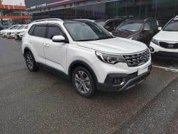 
										KIA Sportage 2L 2020 full									