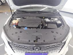 
										Changan RAETON 1.5L 2023 full									