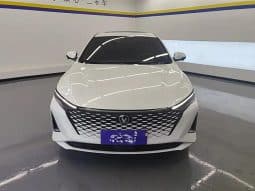 
										Changan RAETON 1.5L 2023 full									