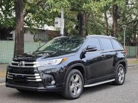 Toyota Highlander 2.0T 2019-04