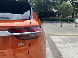 
										GEELY coolray 1.5T 2019-02 full									