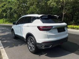 
										GEELY coolray 1.5T 2019-04 full									