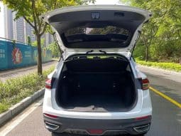 
										GEELY coolray 1.5T 2019-04 full									