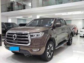 GWM Poer 2.0T 2020-07