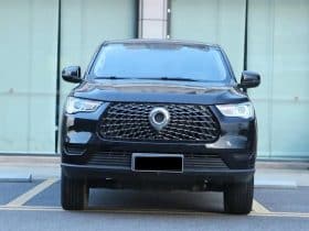 GWM Poer 2.0T 2019-12