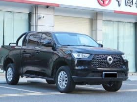 GWM Poer 2.0T 2019-12