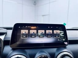 
										BAIC BJ40 2.0T 2022-01 full									