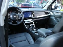 
										GWM Poer 2.0T 2022-02 full									