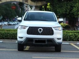 GWM Poer 2.0T 2022-02