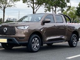 GWM Poer 2.0T 2021-11