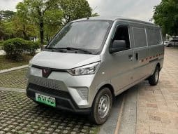 Wuling EV50 Electric 2020-12