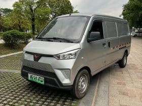 Wuling EV50 Electric 2020-12