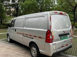 
										Wuling EV50 Electric 2020-12 full									