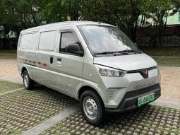 Wuling EV50 Electric 2020-12