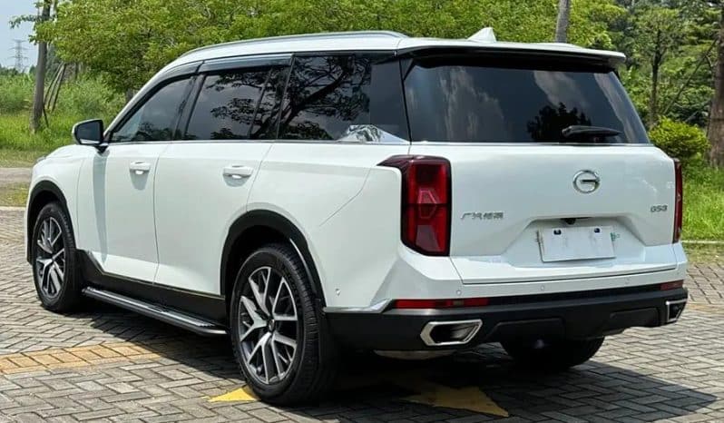
								GAC GS8 2.0T 2023-06 full									