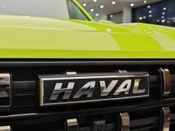 Haval Cool Dog 1.5T 2022-07