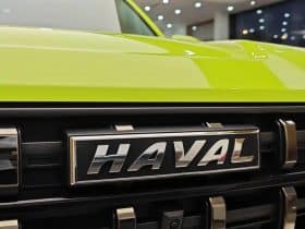 Haval Cool Dog 1.5T 2022-07