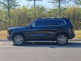 Haval Big Dog 1.5T 2023-06
