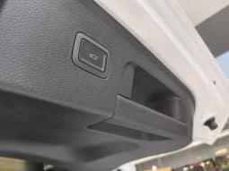 
										HongQi HS3 2.0T 2023-07 full									