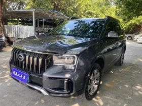 GAC GS8 2.0T 2020-06