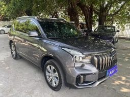 GAC GS8 2.0T 2020-06