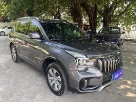 GAC GS8 2.0T 2020-06