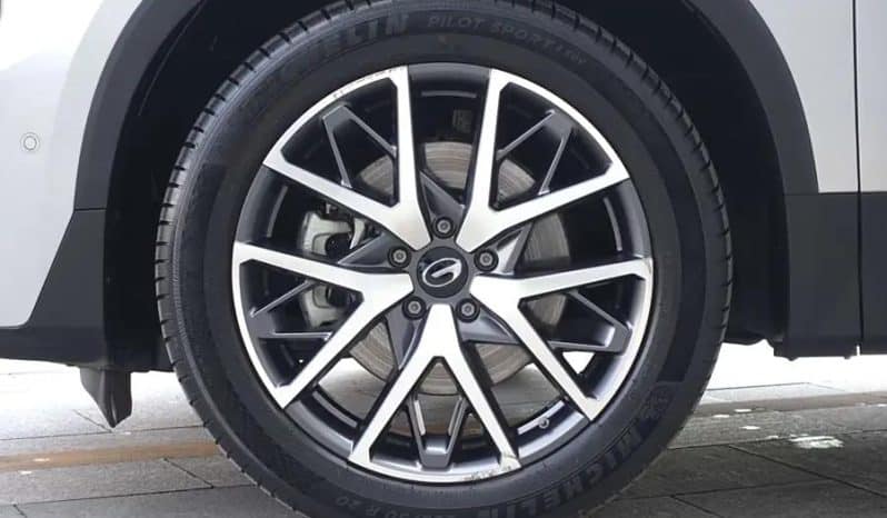 
								GAC GS8 2.0T 2022-03 full									