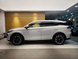 BYD Tang 1.5T 2024-03
