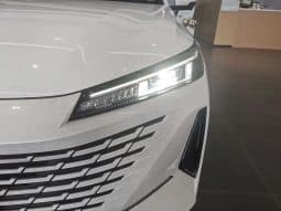 
										Changan Yida 1.5T 2024-01 full									