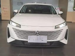 
										Changan Yida 1.5T 2024-01 full									