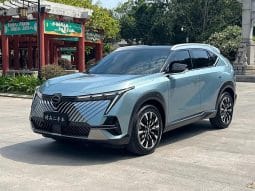 GAC Emkoo 2022 2.0L 2022-12
