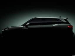 
										BYD YUAN (ATTO 3) full									