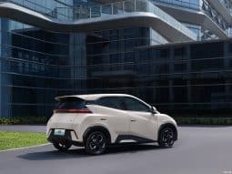 
										BYD Seagull 2025 Model 405km Flying Edition full									