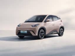
										BYD Seagull 2025 Model 405km Flying Edition full									