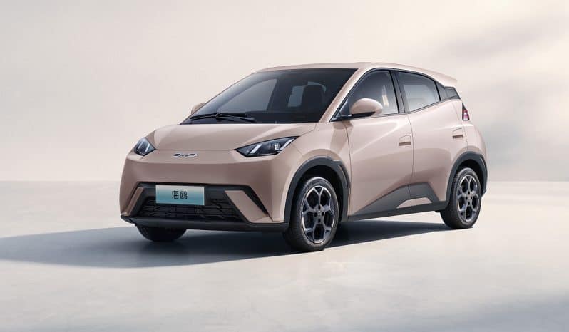 
								BYD Seagull 2025 Model 405km Flying Edition full									