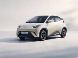 
										BYD Seagull 2025 Model 405km Flying Edition full									