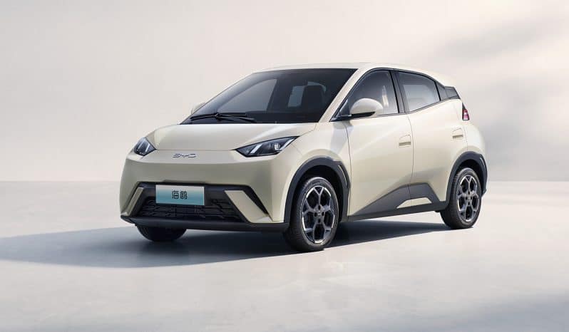 
								BYD Seagull 2025 Model 405km Flying Edition full									