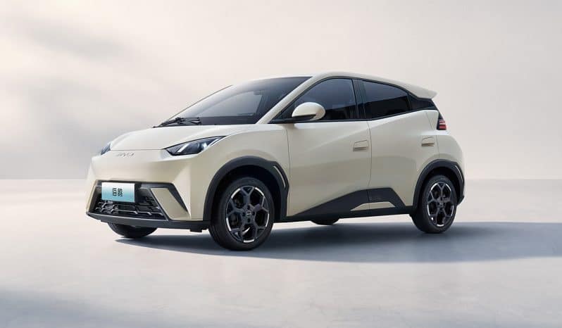 
								BYD Seagull 2025 Model 405km Flying Edition full									