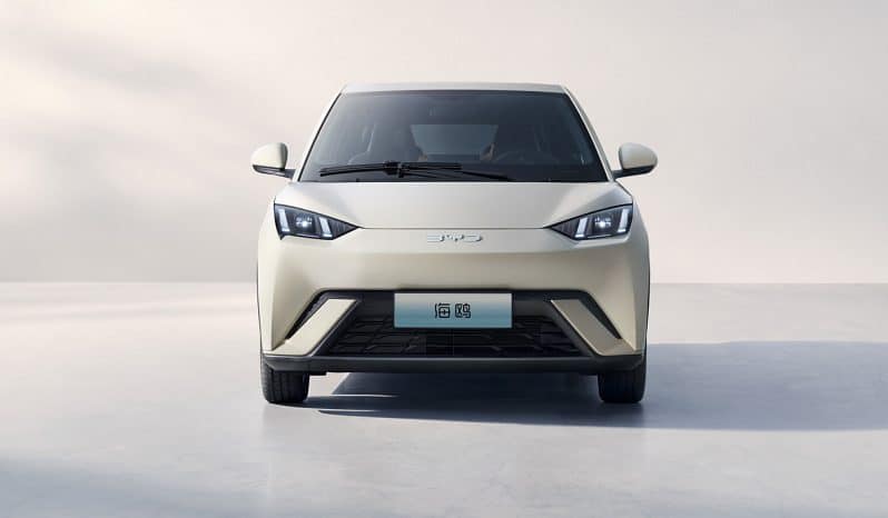 
								BYD Seagull 2025 Model 405km Flying Edition full									