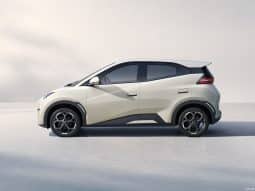 BYD Seagull 2025 Model 405km Flying Edition