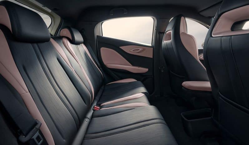 
								BYD Seagull 2025 Model 405km Flying Edition full									