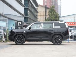 
										BeiJing BJ30 full									