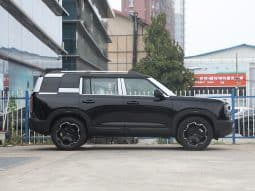 
										BeiJing BJ30 full									