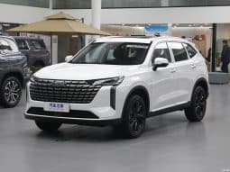 
										Haval H6 full									