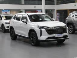 
										Haval H6 full									